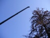 pílenie stromu pomocou vysokozdvižného žeriavu