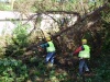 pílenie stromu pomocou vysokozdvižného žeriavu