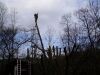 pílenie stromov na zákazku pomocou horolezeckej techniky